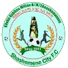Shashemene Ketema