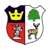 Cinderford Town