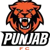 Minerva Punjab