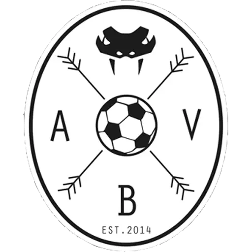 Aarhus Black Vipers