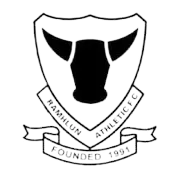 Ramhlun Athletic