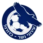 Ironi Nesher