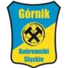 Górnik Bobrowniki Śląskie