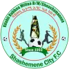 Shashemene Kenema FC