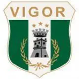 Vigor Lamezia