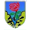 ASD Seravezza Calcio