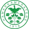 HamKam Feminino