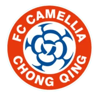 Chongqing Dikai