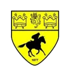 Newmarket Town
