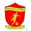 Bocah Liar FC