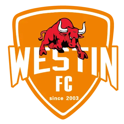 Foshan Sports Feminino