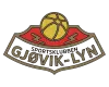 Gjøvik-Lyn