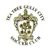 Tea Tree Gully City