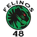 Felinos 48 AC