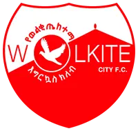 Welkite Ketema