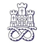 Newcastle Town FC