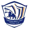 Cangzhou Mighty Lions FC (2011-2025)