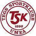 Tegs SK