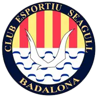 CE Seagull (feminino)