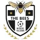 The Bees FC