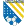 FC Agricola Borcea
