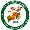 AMOK Chrysomilia Feminino
