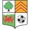 AFC Llwydcoed