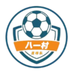 Equipe de Futebol da Vila Bayi de Jinshanwei, Xangai