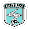 Saltillo FC
