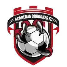 Academia Dragões FC