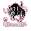CD Novillos Neza