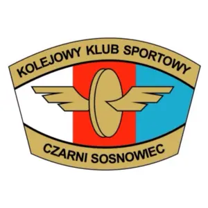 Czarni Sosnowiec (feminino)