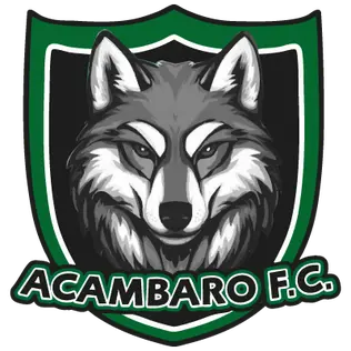 Acámbaro FC