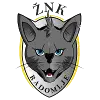 ŽNK Radomlje Feminino