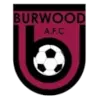 Burwood AFC