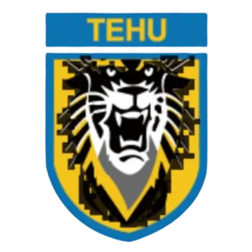 Nanjing Tehu Football Club