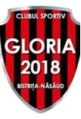 Gloria 2018 Bistrița-Năsăud Femenina