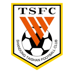 Shandong Taishan B