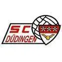 Düdingen