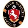 Deportes Limache (F)
