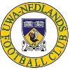 UWA-Nedlands FC