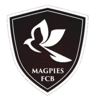 Brunos Magpie
