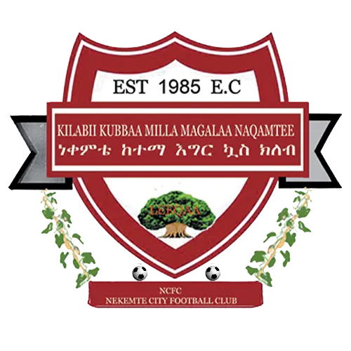 Nekemte Ketema