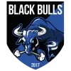 Black Bulls