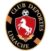 Deportes Limache