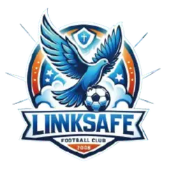 Ji'nan Linksafe