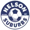 Nelson Suburbs