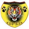 Mighty Tigers
