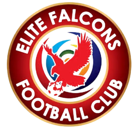 Elite Falcons FC