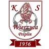 KS Wierzyca Pelplin